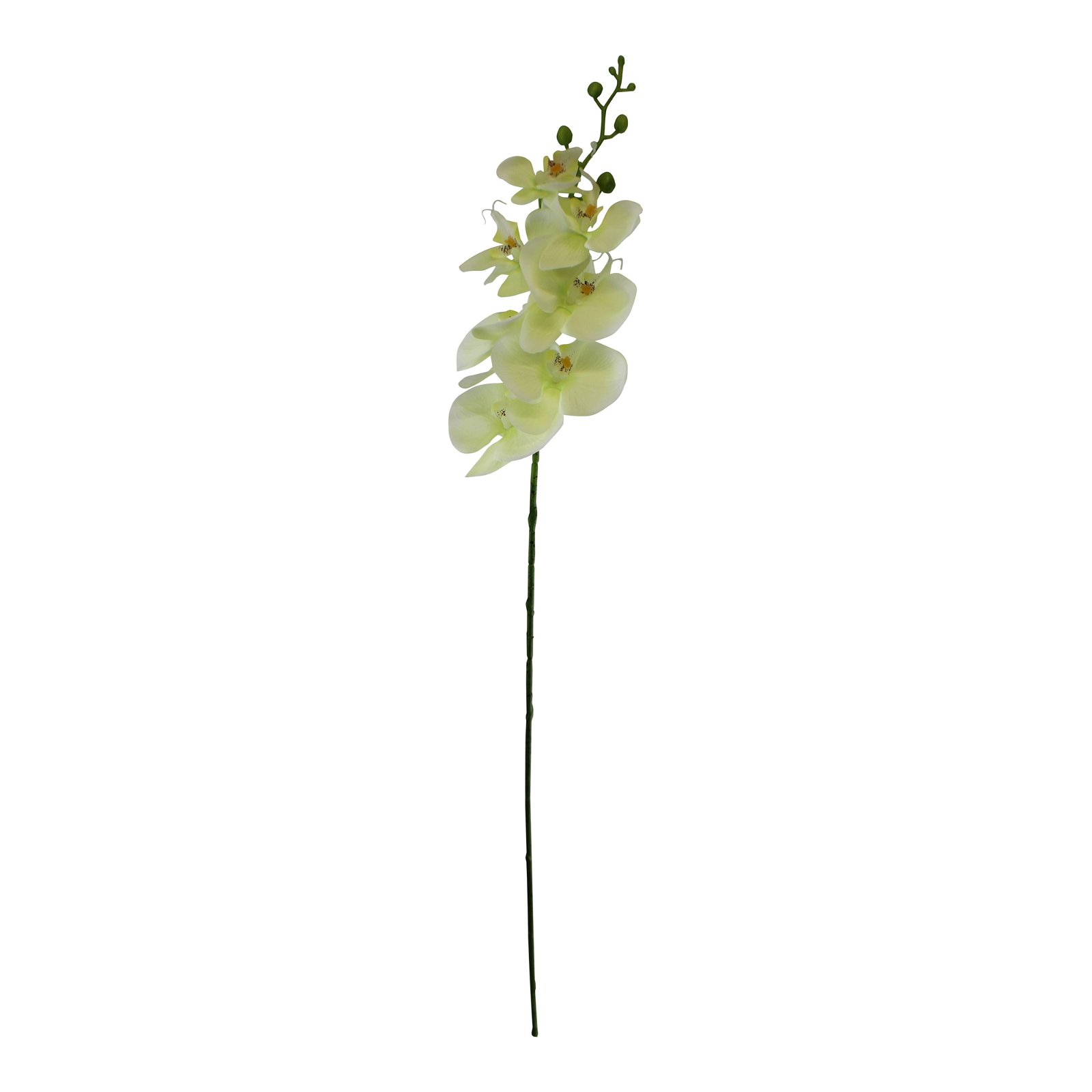 S-FL1024-C